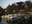 Inokashira Park