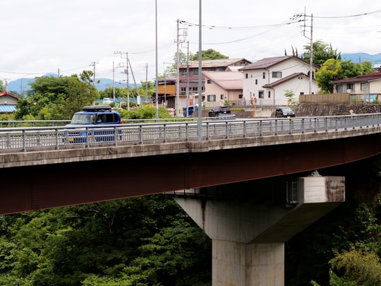 Anya Bridge