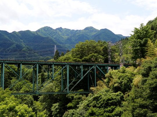 Anya Bridge