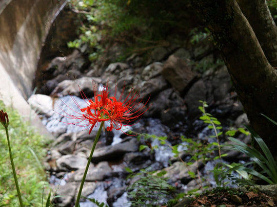 Asahi Falls