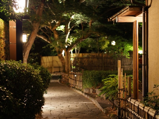 Bamboo Forest Path
