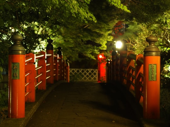 Bamboo Forest Path