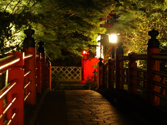 Bamboo Forest Path