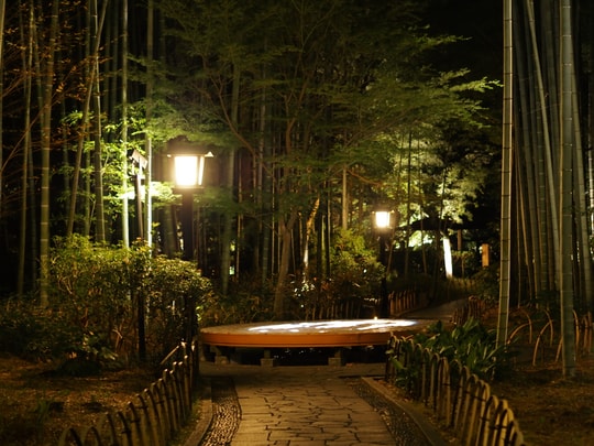 Bamboo Forest Path