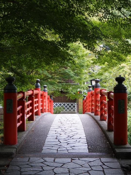 Bamboo Forest Path