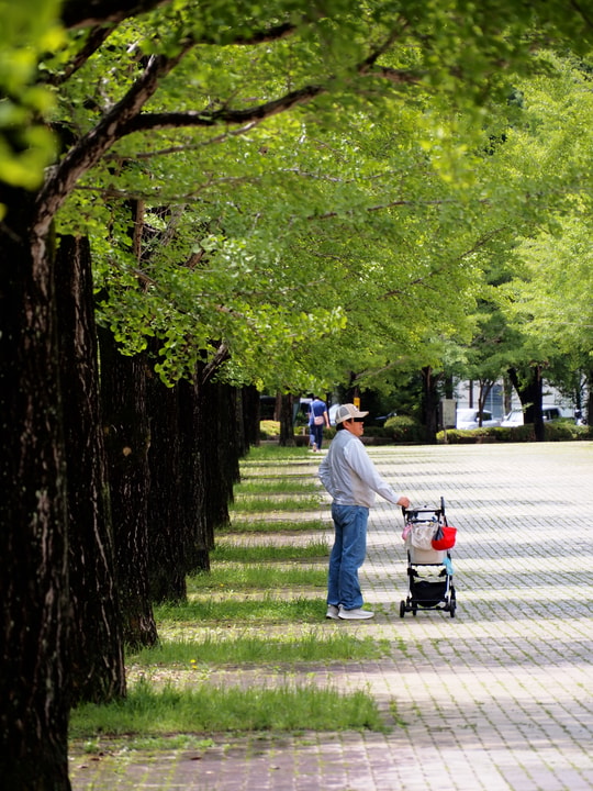 Chichibu Green Muse Park