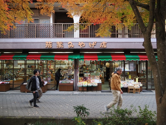 Fukuroda Falls