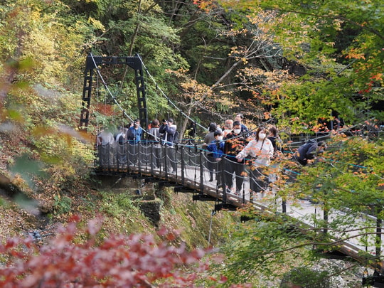 Fukuroda Falls