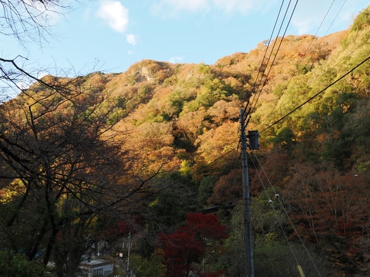 Fukuroda Falls