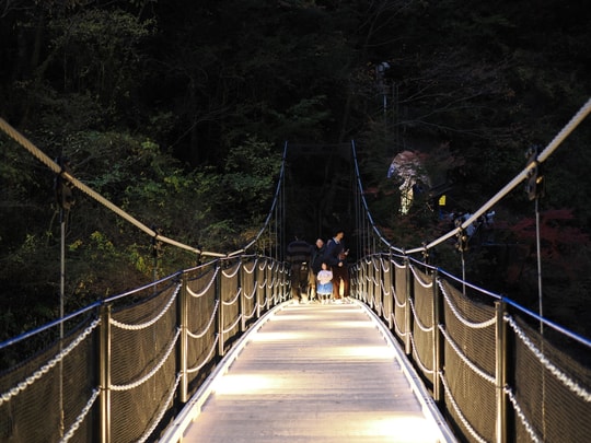 Fukuroda Falls