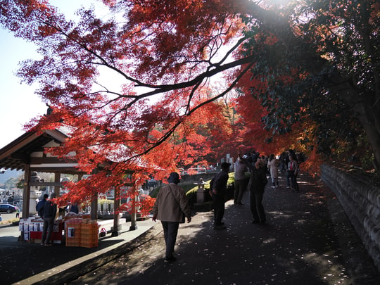 Gaunzan Eigenji Temple