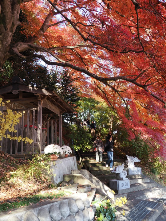 Gaunzan Eigenji Temple