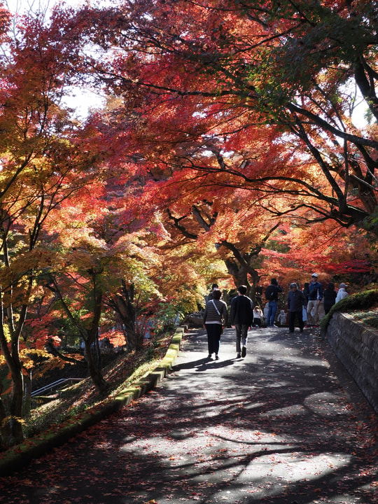 Gaunzan Eigenji Temple