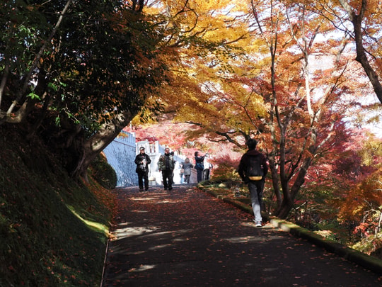 Gaunzan Eigenji Temple