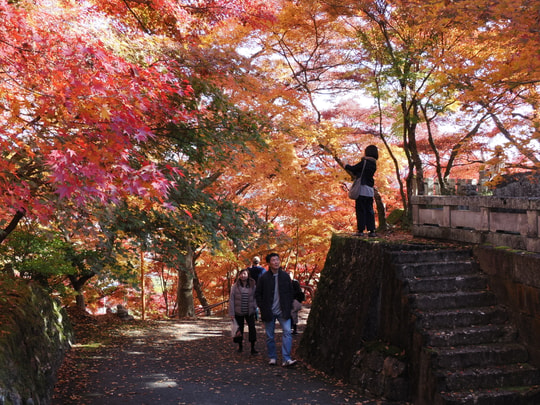 Gaunzan Eigenji Temple