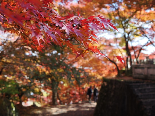 Gaunzan Eigenji Temple