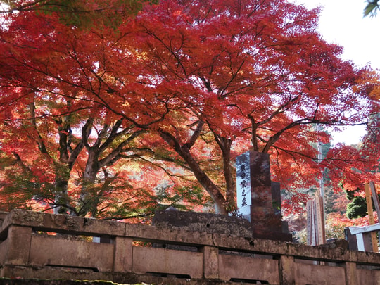 Gaunzan Eigenji Temple