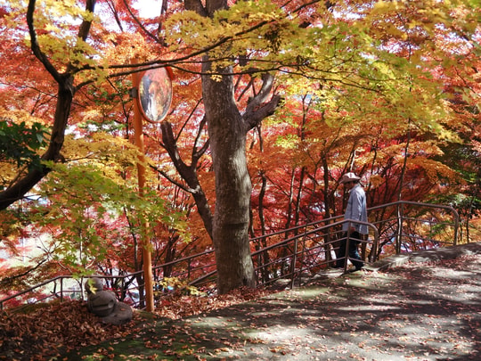 Gaunzan Eigenji Temple