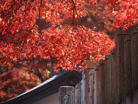Gaunzan Eigenji Temple