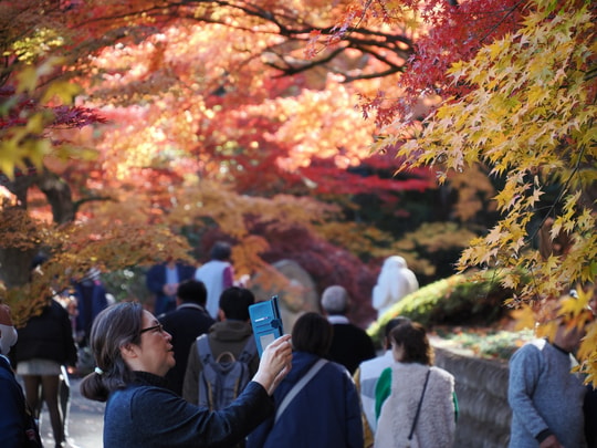 Gaunzan Eigenji Temple