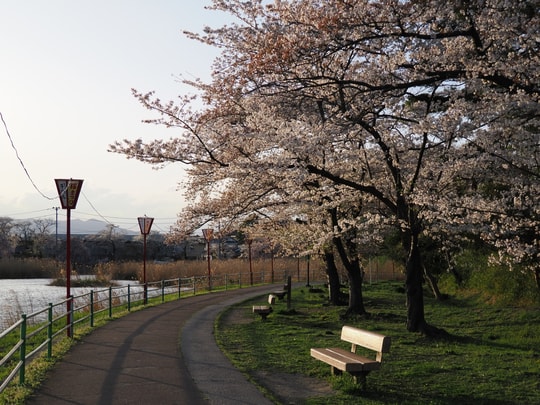 Gohyakubuchi Park