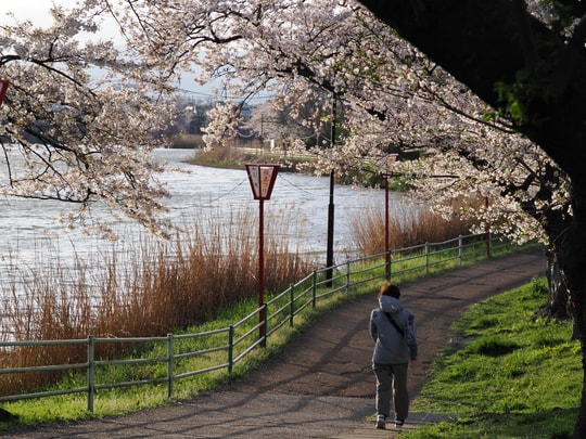 Gohyakubuchi Park