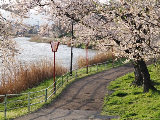 Gohyakubuchi Park