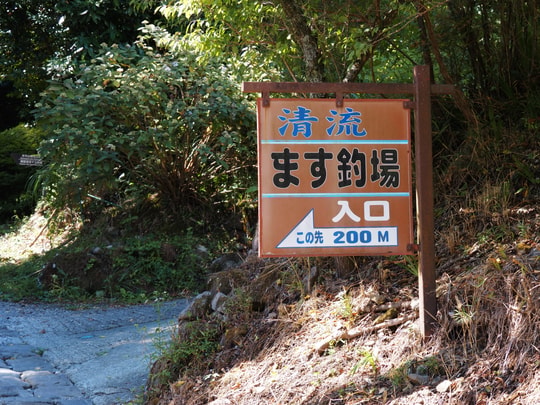 Hatajuku Stream Trout Fishing Spot