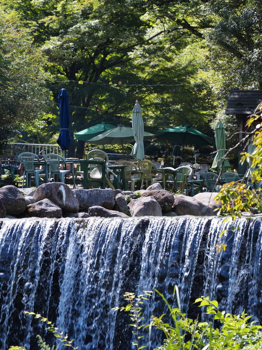 Hatajuku Stream Trout Fishing Spot
