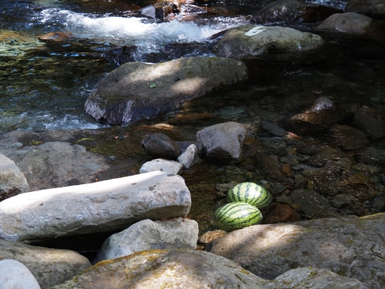 Hatajuku Stream Trout Fishing Spot