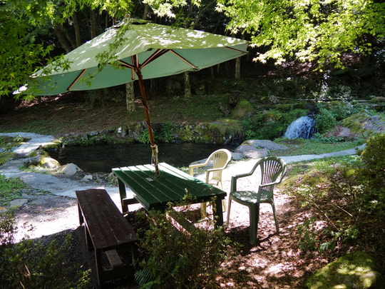 Hatajuku Stream Trout Fishing Spot