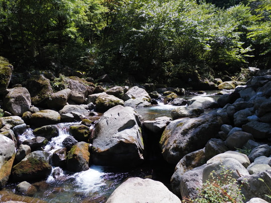 Hatajuku Stream Trout Fishing Spot