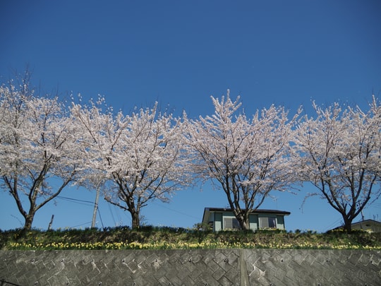 Higashi-Nagahara station