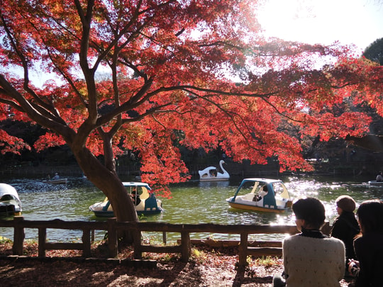 Inokashira Park