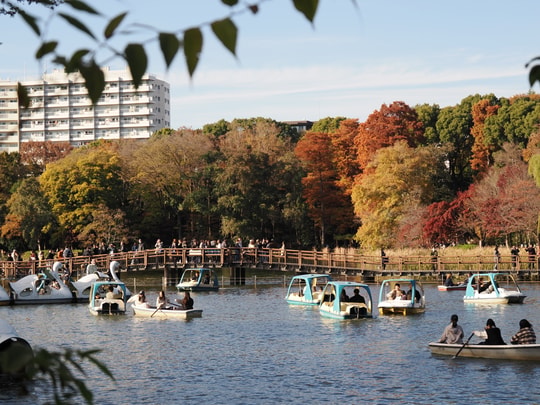 Inokashira Park