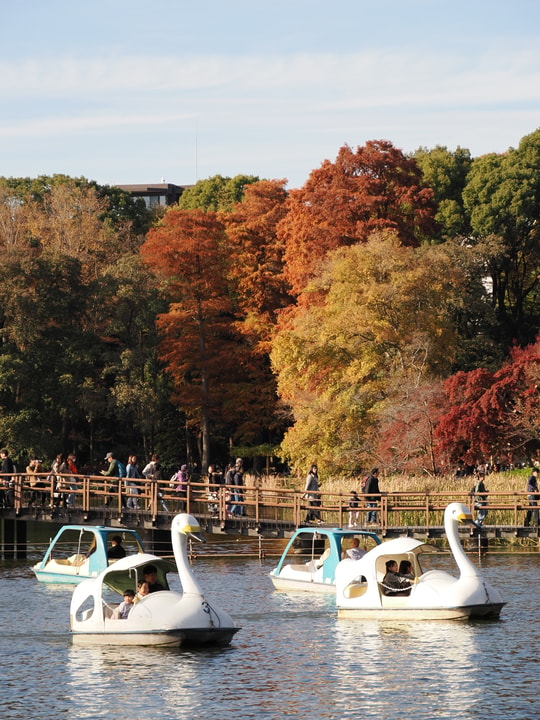 Inokashira Park
