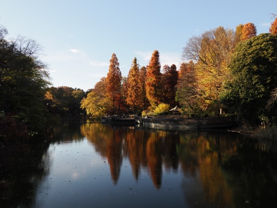 Inokashira Park