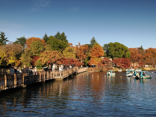 Inokashira Park