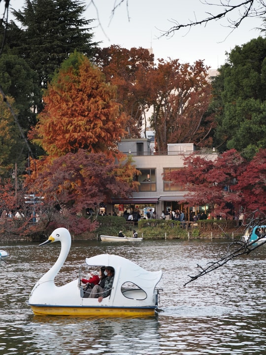 Inokashira Park