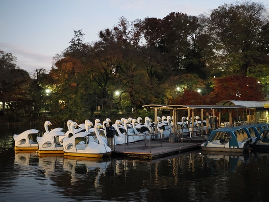 Inokashira Park