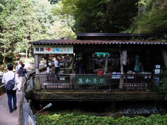 Joren Falls