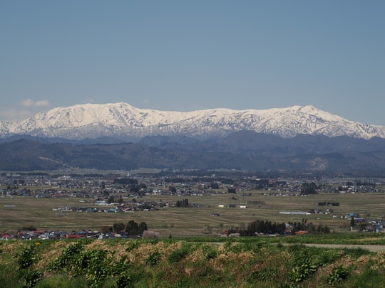 Koibito zaka