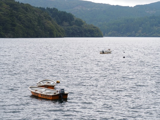 Lake Ashi