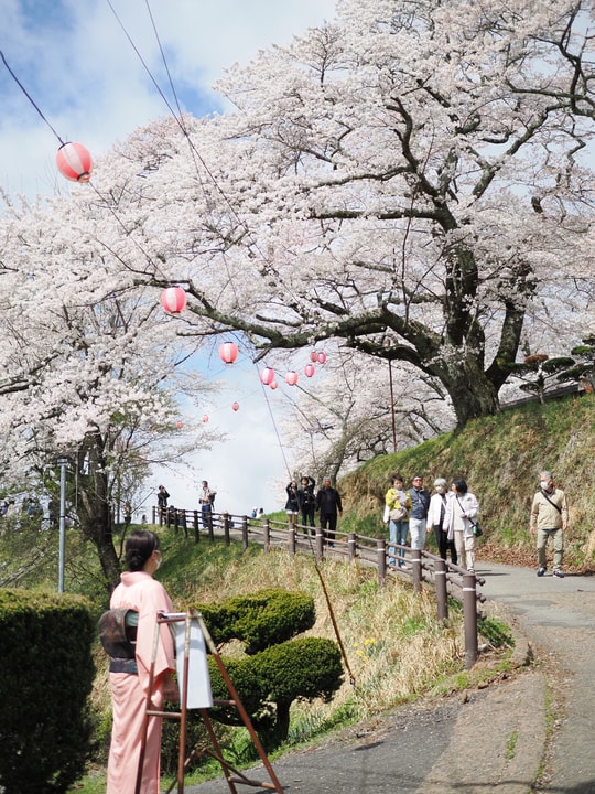Miharu Takizakura