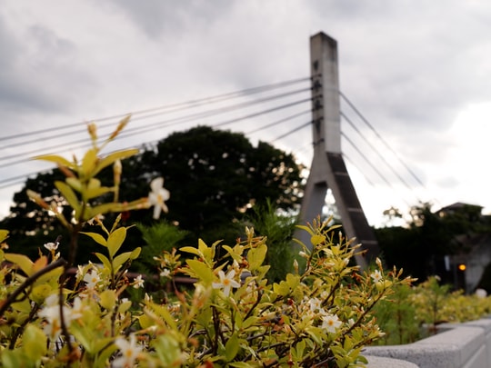 Old Chichibu Bridge