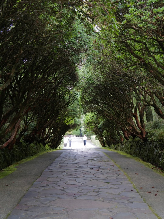 Onshi Hakone Park