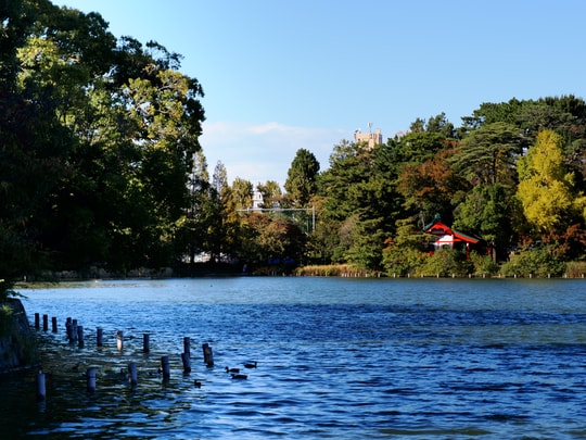 Senzokuike Park