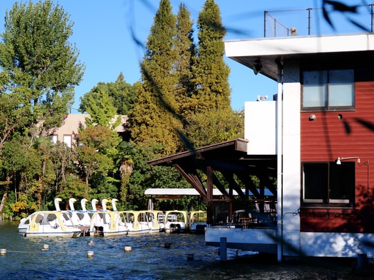Senzokuike Park