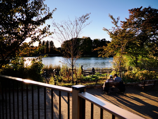 Senzokuike Park