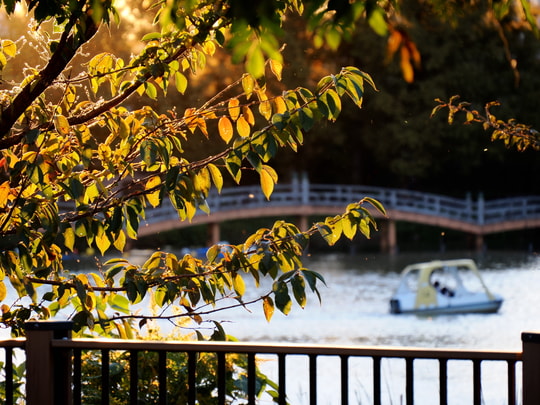 Senzokuike Park